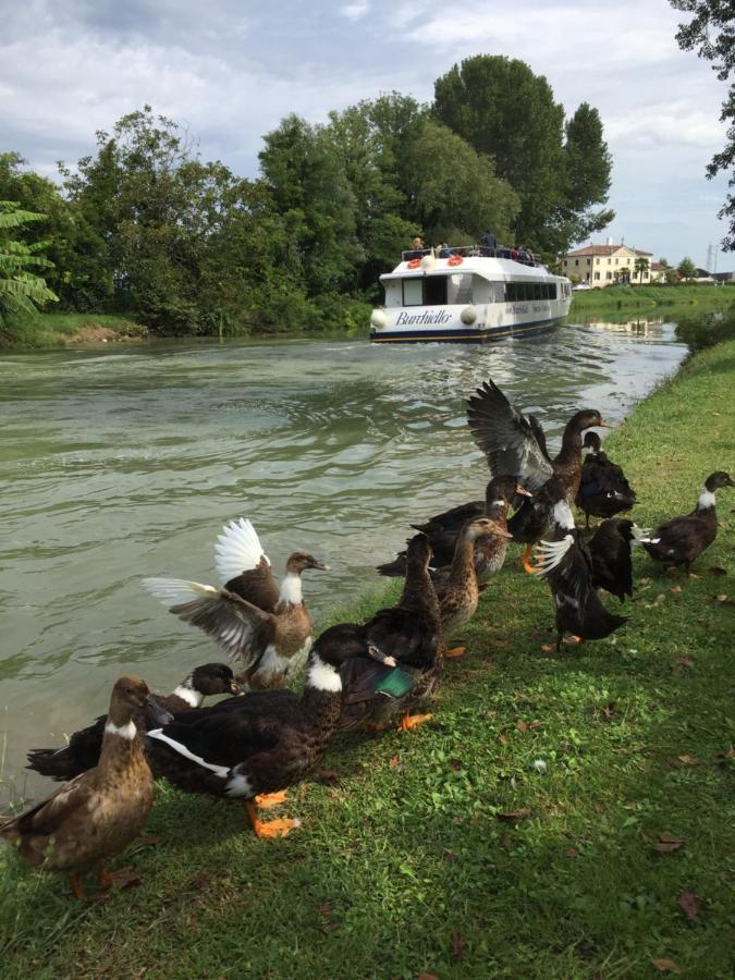 Dimora Naviglio Panzió Dolo Kültér fotó